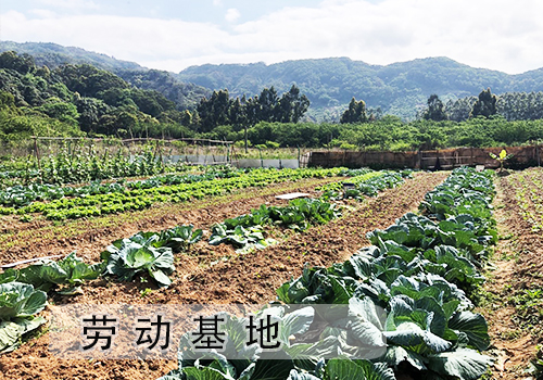辅仁劳动基地